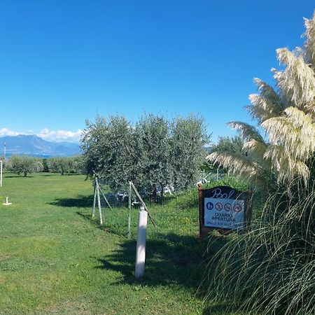 Agriturismo Al-Bor ラツィーゼ エクステリア 写真