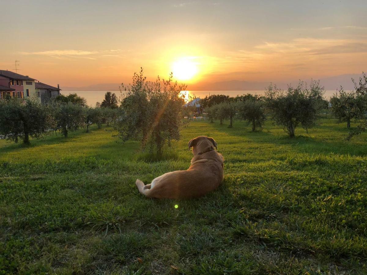 Agriturismo Al-Bor ラツィーゼ エクステリア 写真
